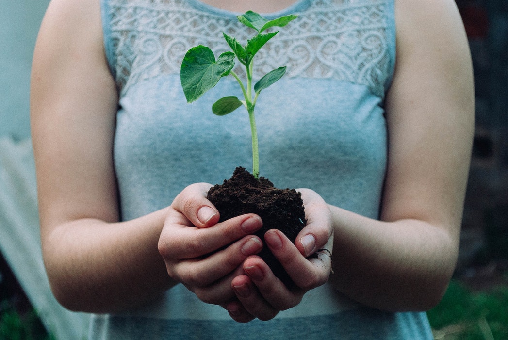 A woman holds a pot-less plant in her hands.