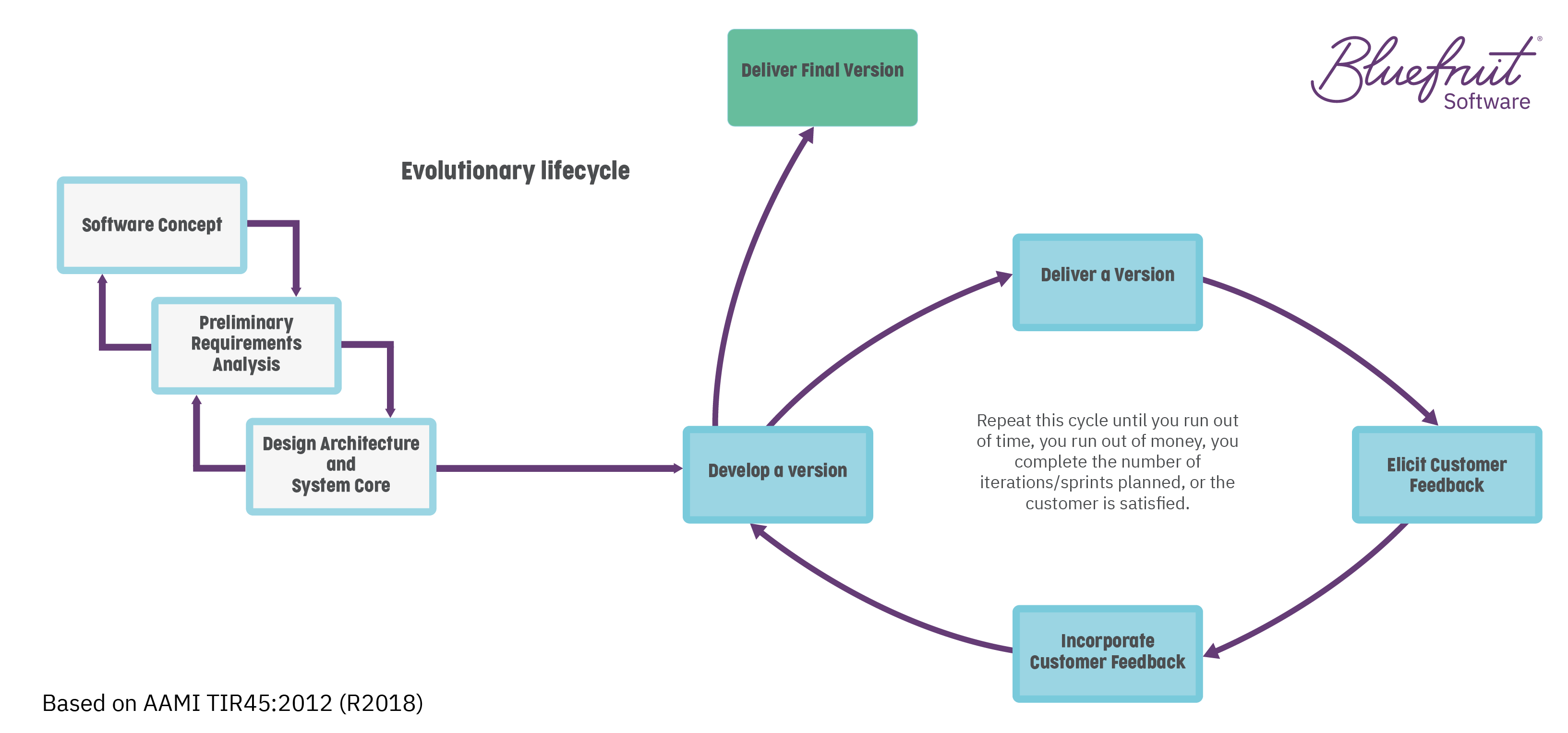 Evolutionary lifecycle as depicted by TIR45.